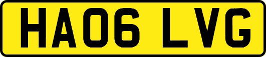 HA06LVG