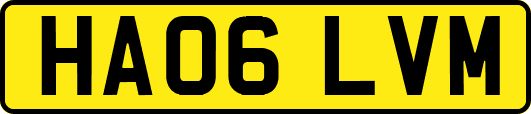 HA06LVM