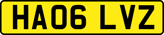 HA06LVZ