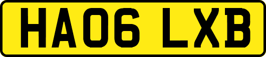 HA06LXB