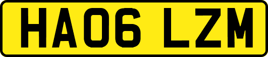 HA06LZM