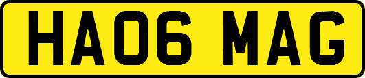 HA06MAG