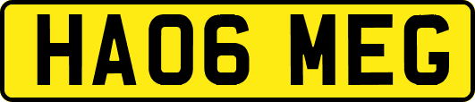 HA06MEG