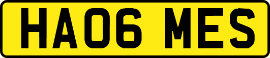 HA06MES