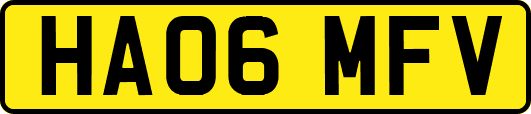 HA06MFV