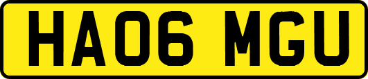 HA06MGU