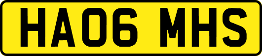 HA06MHS