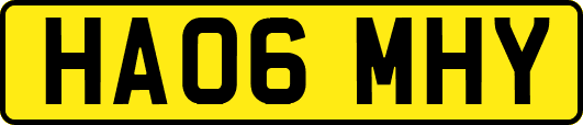 HA06MHY