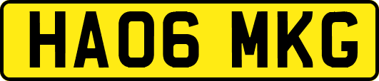 HA06MKG