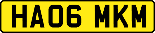 HA06MKM