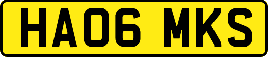 HA06MKS