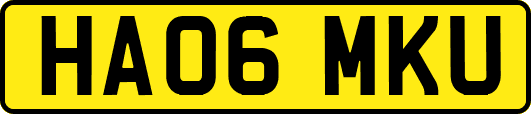HA06MKU