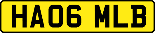HA06MLB