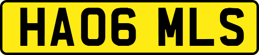 HA06MLS