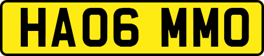 HA06MMO