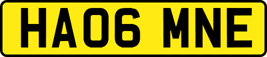 HA06MNE
