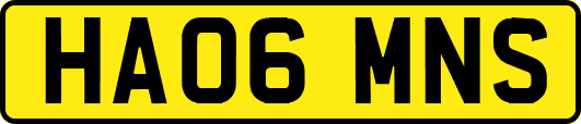 HA06MNS