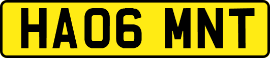 HA06MNT