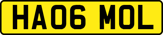 HA06MOL