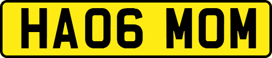 HA06MOM