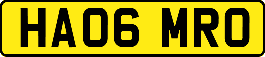 HA06MRO
