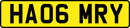 HA06MRY