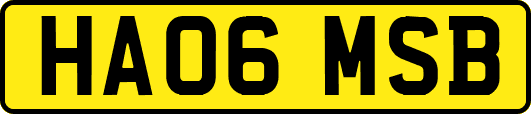 HA06MSB