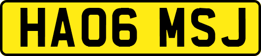 HA06MSJ