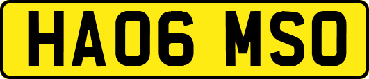 HA06MSO