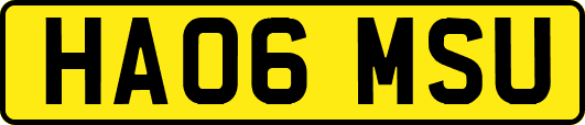 HA06MSU