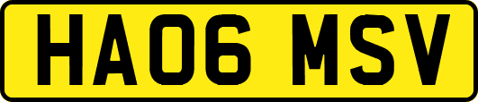 HA06MSV