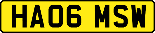 HA06MSW