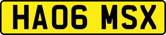 HA06MSX