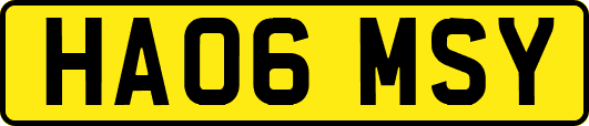 HA06MSY