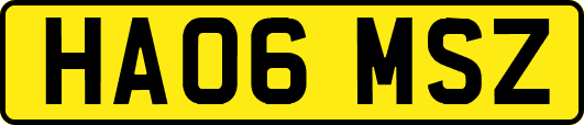 HA06MSZ