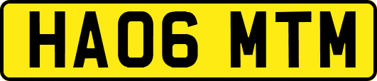 HA06MTM