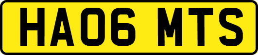 HA06MTS