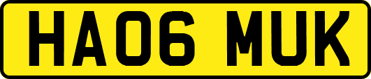 HA06MUK