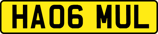 HA06MUL