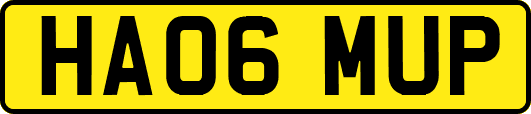 HA06MUP