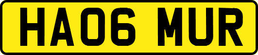 HA06MUR