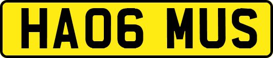 HA06MUS