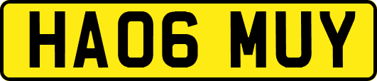 HA06MUY