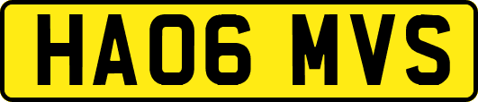 HA06MVS