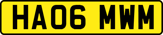 HA06MWM