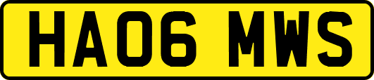 HA06MWS