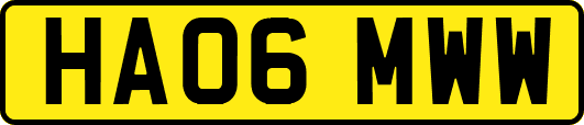 HA06MWW