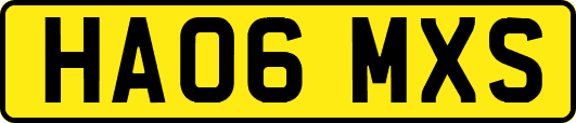 HA06MXS