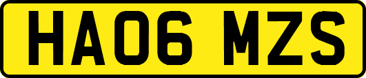 HA06MZS