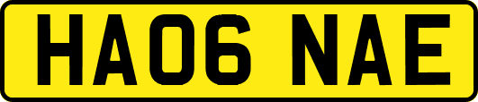 HA06NAE